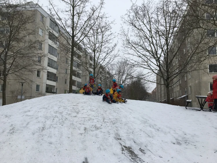 Stjärtlapp